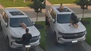Father’s Trick Leaves Toddler Stranded On Car’s Roof; Mother Comes To Rescue | Viral Video Gets Mixed Reactions